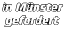 in Münster gefordert